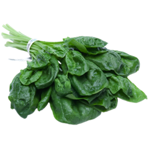 Spinach PNG-79125